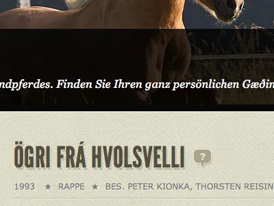 Request Icon css data visualization horses html icon textures ui website