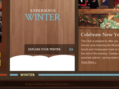 Winter Panel Slider winter wood