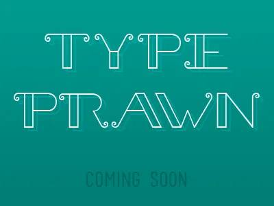 Prawn delicate font thin type typeface typography