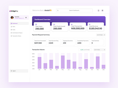 Bridgepay fintech dashboard branding design graphic design ui ux