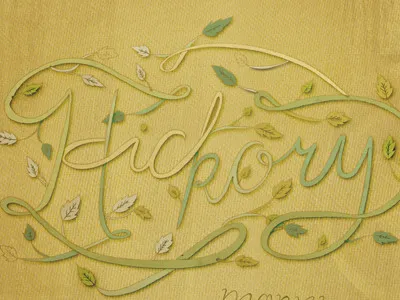 Hickory album art boston music illustration mariel vandersteel typography