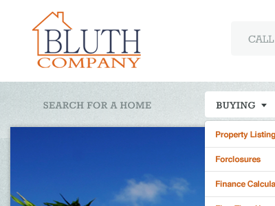 Bluth Company