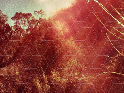 HW010112 grid photo poster