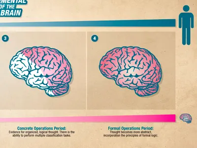 Brain Infographic Slide 2 view 2 blue brain chart infographic pink
