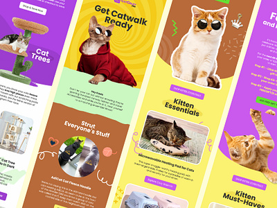 Newsletter Design for Cat Food Brand design email email design email marketing illustration newsletter newsletter design ui