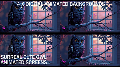 4x Mystical Cute Owl Animated screens