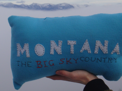 Montana Pillow embroidery montana sewing