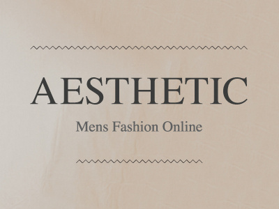 Aesthetic Logo branding design lettering type typography