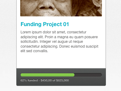 Funding Progress button donate green hover pixelmator progress bar ui