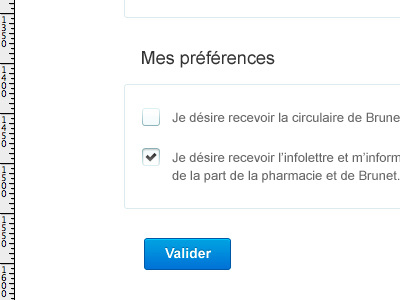 Brunet app blue button checkbox clean form fresh input interface mobile photoshop rulers radio textfield ui webapp white