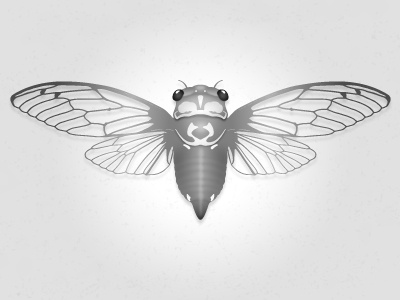 Cicada work in progress cicada