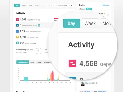 Dashboard Revisions — Take 2 charts css3 dashboard design fitbit graphs helvetica html icons numbers stats ui web