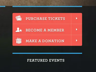 Zoo Call to Actions 2 bright clean dark salmon