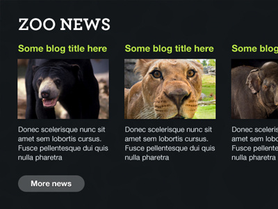 Zoo Blog animals columns dark typography