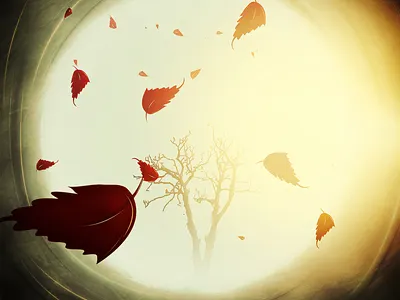 Autumn In My Pit autumn in mikibo my pit sun tree