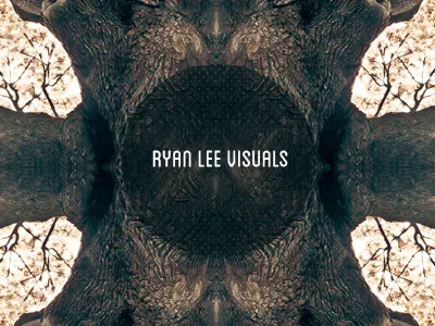 Ryan Lee Visuals