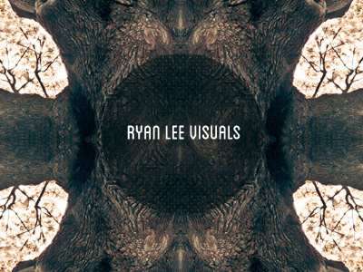 Ryan Lee Visuals