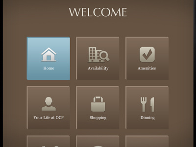 wop, initial screen for ipad app, what do you think? brown icons ipad teal