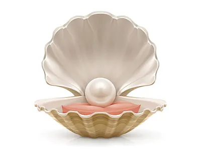 Pearl illustration pearl shell vector