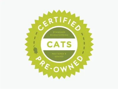 Certified Pre-Owned Cats badges cats