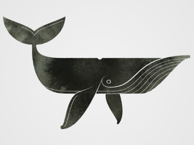 Whale illustration