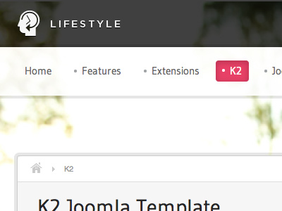 Lifestyle joomla navigation transparent