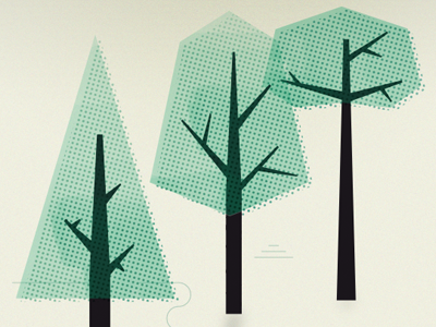 Pine Birch Pine birch illustration pine tree