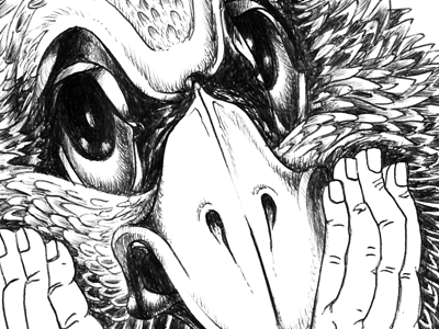 11.01.12.Fragments drawing friend illustration