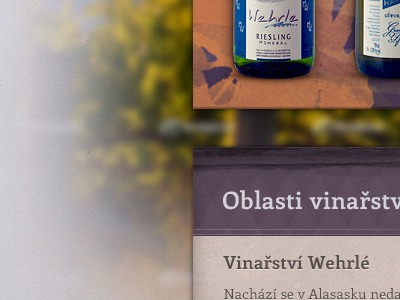 Wine Web bottle brown dark green grunge paper pattern photography purple texture typography web website wine winery yellow