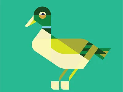 Duck adobe animal bill brand duck farm icon illustration illustrator mallard quack vector