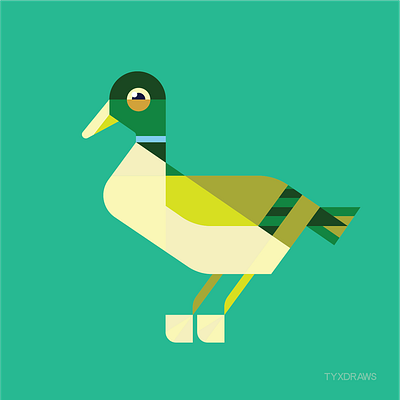 Duck adobe animal bill brand duck farm icon illustration illustrator mallard quack vector