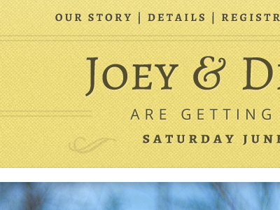 website ampersand serif swash wedding