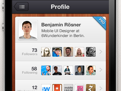 Wunderkit iPhone App - User Profile 6wunderkinder app avatar badge follower image iphone picture premium pro profile statistic stats user wood wunderkit