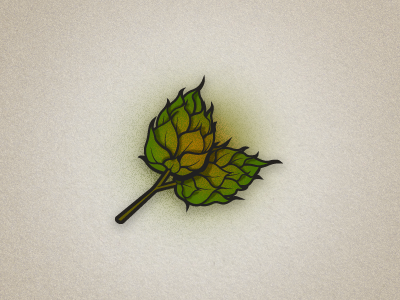 Hops beeer beer hops illustration logo