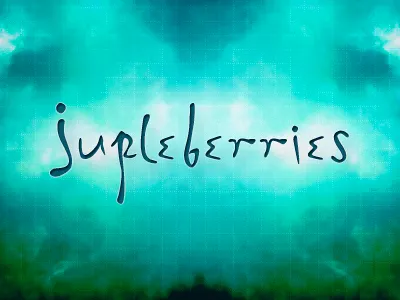Jupleberries branding branding logo