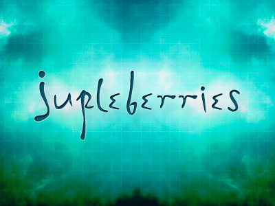 Jupleberries branding branding logo