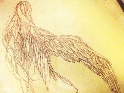 Drawing #2 bird drawing moleskine rotring wing