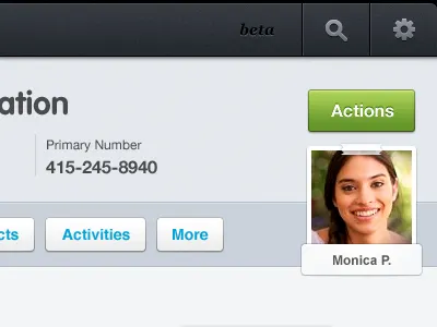 App UI application blue button clean green helvetica interface ipad minimal polish salesforce ui ux