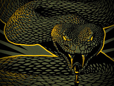 SsSnake design illustration snake