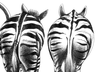 01.02.12.F drawing illustration