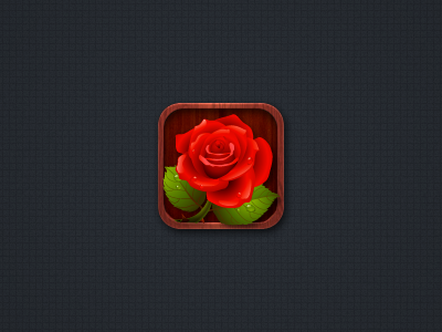 Rose Dribbble app day day rose icon app icon rose valentine