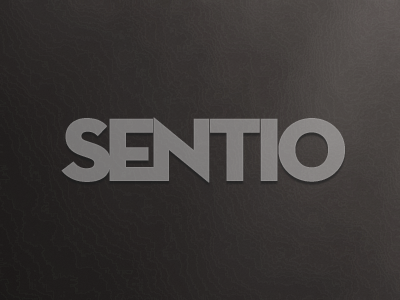Sentio logo concept brown earth tones logo logotype natural nature neutra display neutral organic topo topographic map topography typography