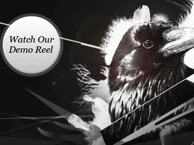 Crows Run bird button crow crows run demo reel