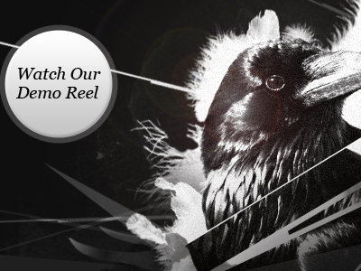 Crows Run bird button crow crows run demo reel