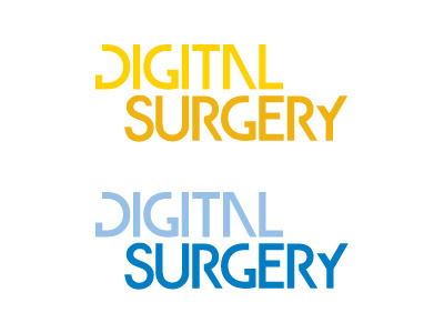 Ds Color logo typography