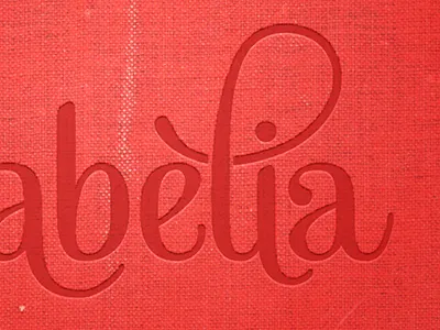 Babèlia Fixed book cover fabric gotham logo logotype mishka texture typography