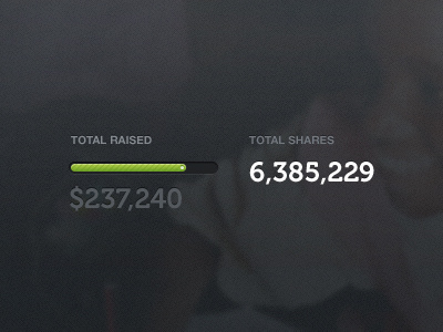 Total Raised info progress sevenly slider stats texture ui