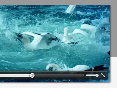 HTML5 Video birds box shadow css3 full screen fullscreen html5 pause play player progress bar seekbar seeker ui video video player volume