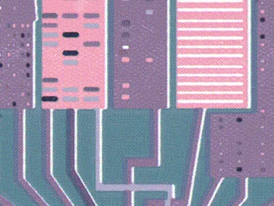 Squares and rectangles