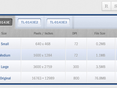 Tabbed Table blue buttons css3 downloads grey intranet table tabs tabular data